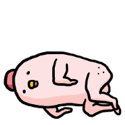 眠る鶏肉