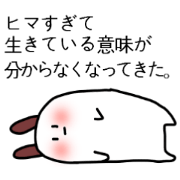 うちの生意気うさぎくん