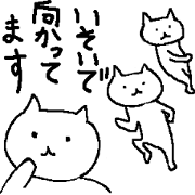 気がぬける猫