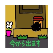 黒猫ネルちゃん