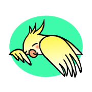 オカメインコなのです。