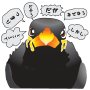 九ちゃんの接続詞