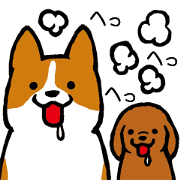 しつこい犬