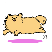 ふわふわポメラニアンズ