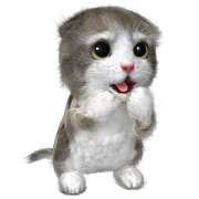 もふ猫もふう