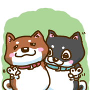 楽しいしばわんこ