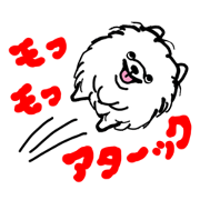 ぼくのモフモフポメラニアン