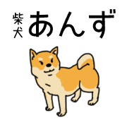 柴犬あんずのタメになる気がする40のこと