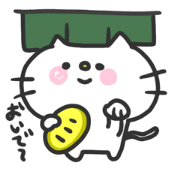 忙しい猫