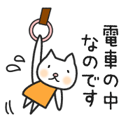ゆる猫の日常