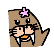 セイウチの乙女ちゃん