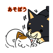 猫と犬の待ち合わせ