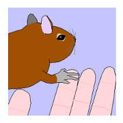 デグーあるある