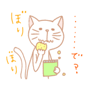 博多弁までは使わない福岡在住の白ネコ