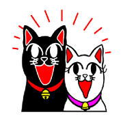 ブラック＆ホワイトキャット