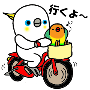 のんちゅとボタンインコ