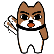 喋る柴犬「ダク(♀)」