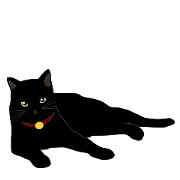黒猫の大ちゃん