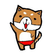 赤パン柴犬