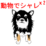 動物でシャレシャレ