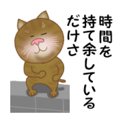 猫のりん君
