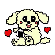 マルチーズのランちゃん