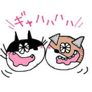 CAT & DOG