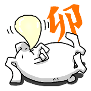 え?うさぎだよ?