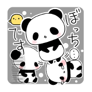 ぼっちパンダの一日