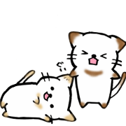 カップルdeにゃんにゃん