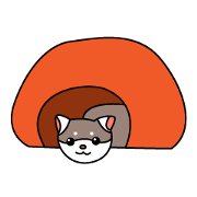 フェレット!