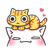 sweety cat