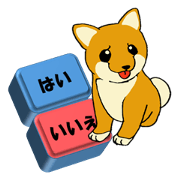 Shiba2