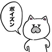 猫先生