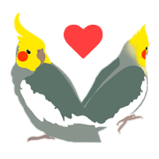 ほんわかオカメインコ