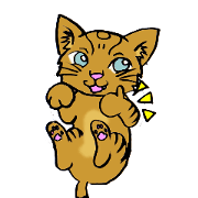 萌え猫