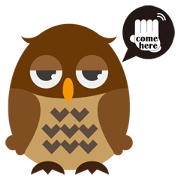 Night Owl